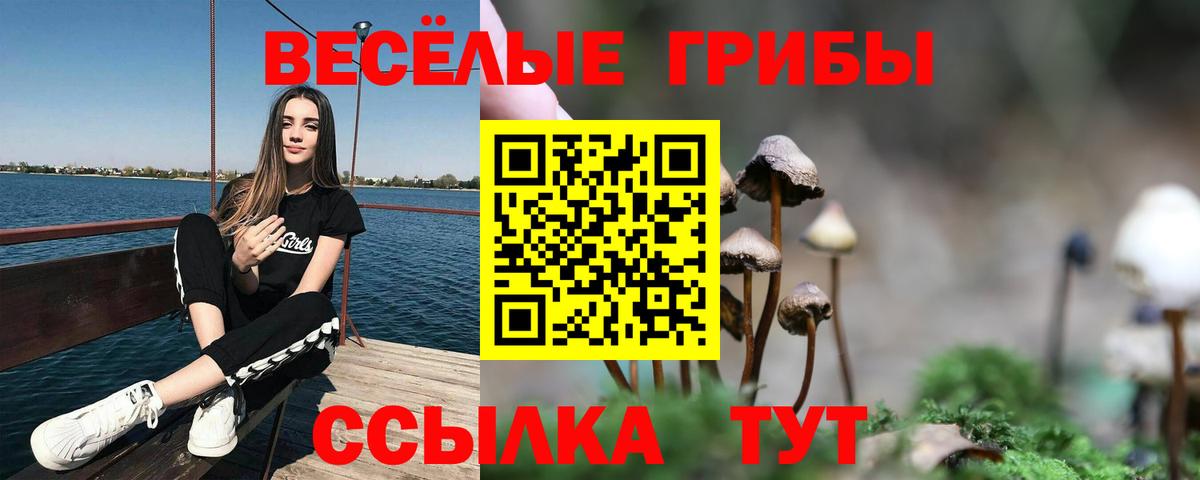 наркошоп  Галлюциногенные грибы ЛСД  Вход с VPN  Чайковский  Галлюциногенные грибы мухоморы 